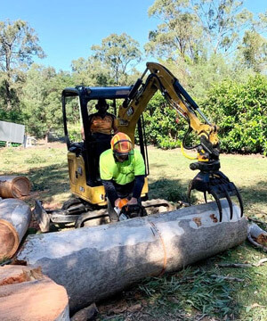 Tree Removal & Pruning Gold Coast - Apex Tree Services